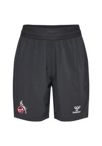 Hummel - Krótka dziecięca spódnica FC Köln Pro 2024/25. Kolor: szary. Długość: krótkie. Styl: młodzieżowy, sportowy