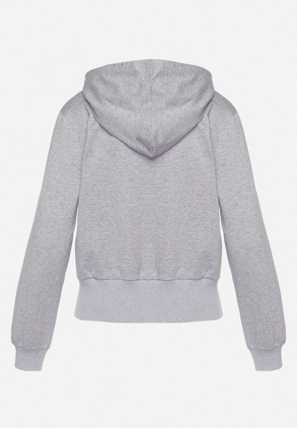 Born2be - Szara Bluza z Kapturem Zapinana na Zamek Błyskawiczny Etarvia. Typ kołnierza: kaptur. Kolor: szary. Sezon: wiosna, lato. Styl: klasyczny