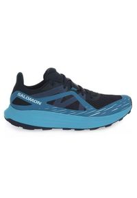 salomon - Buty do biegania męskie Salomon 474852. Zapięcie: sznurówki. Kolor: wielokolorowy. Materiał: guma, syntetyk, tkanina, materiał. Szerokość cholewki: normalna. Technologia: Gore-Tex. Sport: bieganie