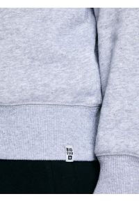 Big-Star - Bluza męska szara Marltones 901. Okazja: na co dzień. Kolor: szary. Materiał: jeans, materiał, dresówka. Wzór: aplikacja. Styl: casual, sportowy #4