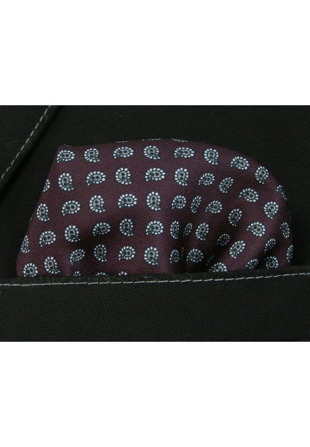 Poszetka EM Men's Accessories