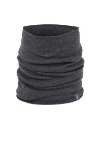 Chusta wielofunkcyjna Icebreaker 260 Tech Chute Jet 1034580111 - szara. Okazja: na co dzień. Kolor: szary. Materiał: wełna, materiał. Styl: casual, sportowy #1