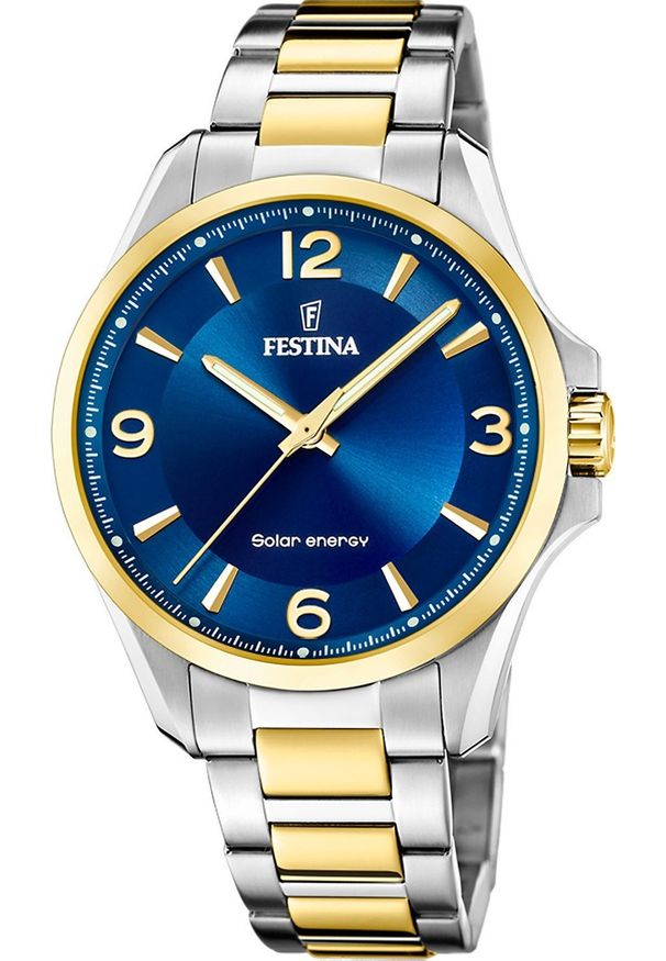 Zegarek Festina Zegarek męski Festina F20657-4 srebrny. Kolor: srebrny