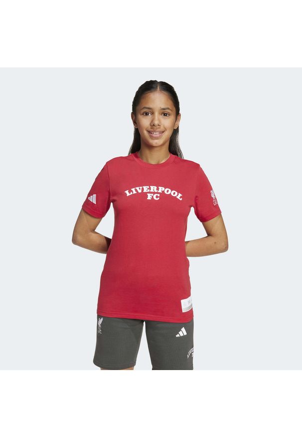 Adidas - Koszulka Liverpool FC US Pack. Kolor: czerwony. Sport: piłka nożna