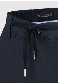 Pako Lorente - PAKO LORENTE – Męskie spodnie w kolorze granatowym w kratę. Kolor: niebieski #5