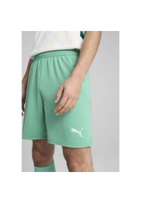 Puma - Męskie szorty Wybrzeże Kości Słoniowej 2025 PUMA Jade Frost White Green. Kolor: biały