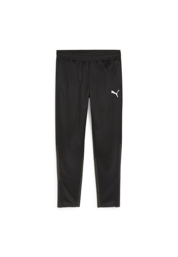 Spodnie męskie Puma Team Goal Training. Kolor: wielokolorowy, biały, czarny. Sport: piłka nożna