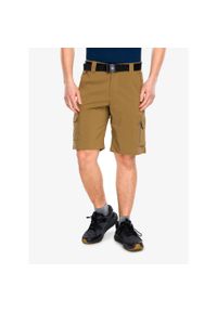 columbia - Spodenki turystyczne męskie Columbia Silver Ridge Utility Cargo Short. Kolor: brązowy