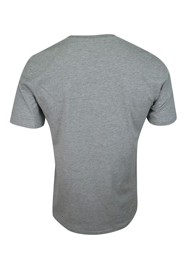 Pako Jeans - T-shirt Popielaty, 100% BAWEŁNA, U-neck, bez Nadruku, Męski, Krótki Rękaw -PAKO JEANS. Okazja: na co dzień. Kolor: szary. Materiał: bawełna. Długość rękawa: krótki rękaw. Długość: krótkie. Styl: casual