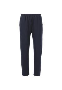 ENDURANCE - Proste spodnie dresowe Endurance Arlanc. Kolor: niebieski. Materiał: dresówka. Sport: fitness #1