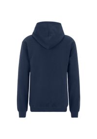 Bluza sportowa męska Fila Brunssum. Typ kołnierza: kaptur. Kolor: biały, wielokolorowy, niebieski