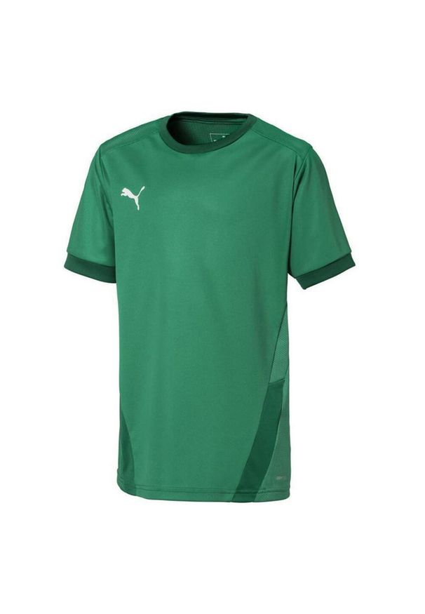 Puma - Koszulka Dziecięca TeamGoal 23. Kolor: zielony