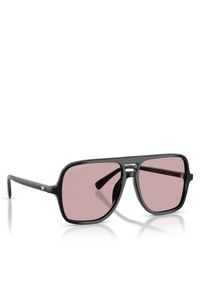 Emporio Armani Okulary przeciwsłoneczne 0EA4252U 501773 Czarny. Kolor: czarny
