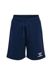 Szorty dla dzieci Hummel Flow. Okazja: na uczelnię. Kolor: niebieski. Materiał: materiał. Długość: krótkie. Sezon: lato. Styl: sportowy. Sport: joga i pilates