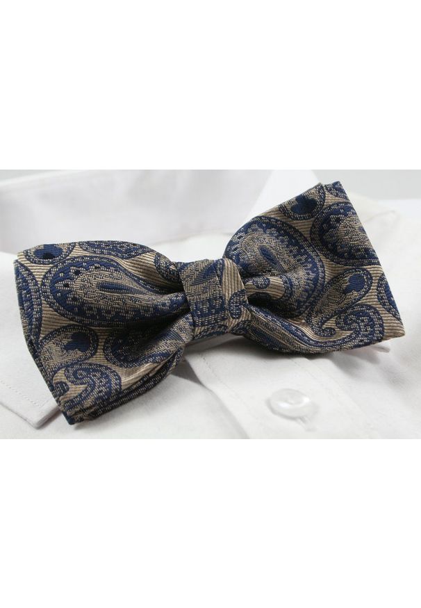 Zestaw: Mucha z Poszetką - Alties - Stare Złoto w Duże Paisley. Kolor: wielokolorowy, złoty, żółty. Wzór: paisley. Styl: retro