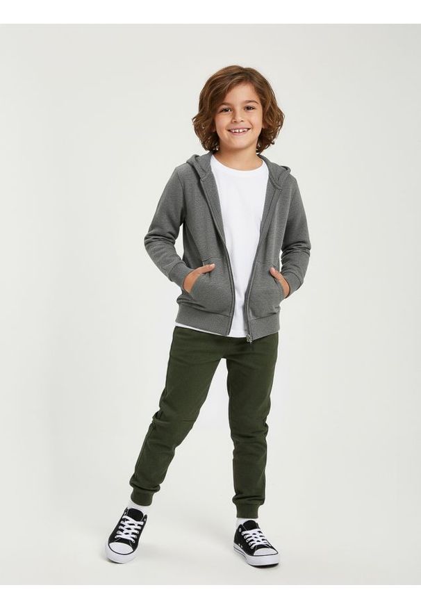 Sinsay - Jeansy jogger z efektem sprania - zielony. Kolor: zielony