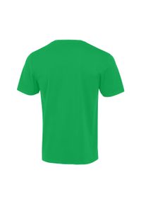 Stedman - Koszulka Unisex Dla Dorosłych Lux. Kolor: zielony. Sport: turystyka piesza #2