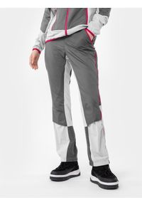 4f - 4F Spodnie skiturowe Primaloft® Active damskie S. Kolor: szary. Materiał: tkanina. Technologia: Primaloft. Sezon: zima. Sport: narciarstwo, snowboard