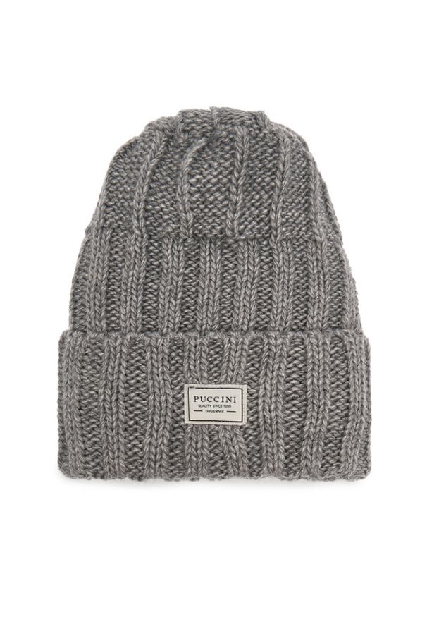 Puccini Czapka CZ2313 Szary. Kolor: szary. Materiał: syntetyk