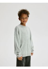 Reserved - Sweter z naszywką - jasnoszary. Kolor: szary. Materiał: dzianina, wełna. Wzór: aplikacja #1