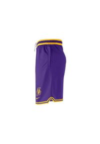 Spodnie koszykarskie męskie Nike Nba Los Angeles Lakers. Kolor: fioletowy. Materiał: syntetyk, materiał. Długość: krótkie