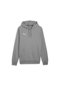 Bluza z kapturem Puma Teamgoal Casuals. Typ kołnierza: kaptur. Kolor: szary. Sport: piłka nożna #1