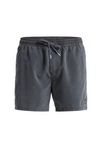 Quiksilver - Szorty kąpielowe dla Mężczyzn EVERYDAY SURFWASH VOLLEY 15" Czarny. Kolor: brązowy, zielony, wielokolorowy. Materiał: poliester, materiał. Styl: sportowy