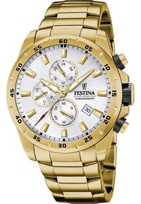 Zegarek Festina Zegarek męski Festina F20541-1 złoty. Kolor: złoty #1