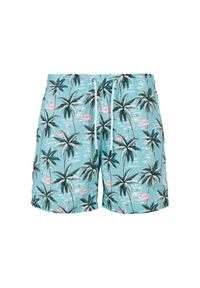 Szorty kąpielowe z wzorem Urban Classics GT. Kolor: niebieski, różowy, wielokolorowy #1
