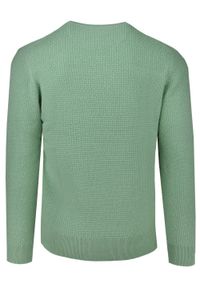 Lekki, Męski Sweter Bawełniany - Pako Jeans - Jasnozielony. Okazja: na spotkanie biznesowe, do pracy. Kolor: zielony. Materiał: bawełna. Styl: biznesowy, klasyczny #6