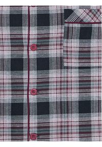 Cyberjammies Koszulka piżamowa Harley 6741 Kolorowy Regular Fit. Materiał: bawełna. Wzór: kolorowy