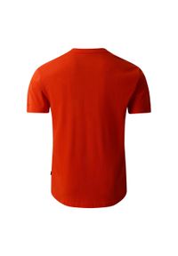 DARE 2B - T-shirt Męski Z Niedźwiedziem Movement II. Kolor: brązowy, wielokolorowy, beżowy
