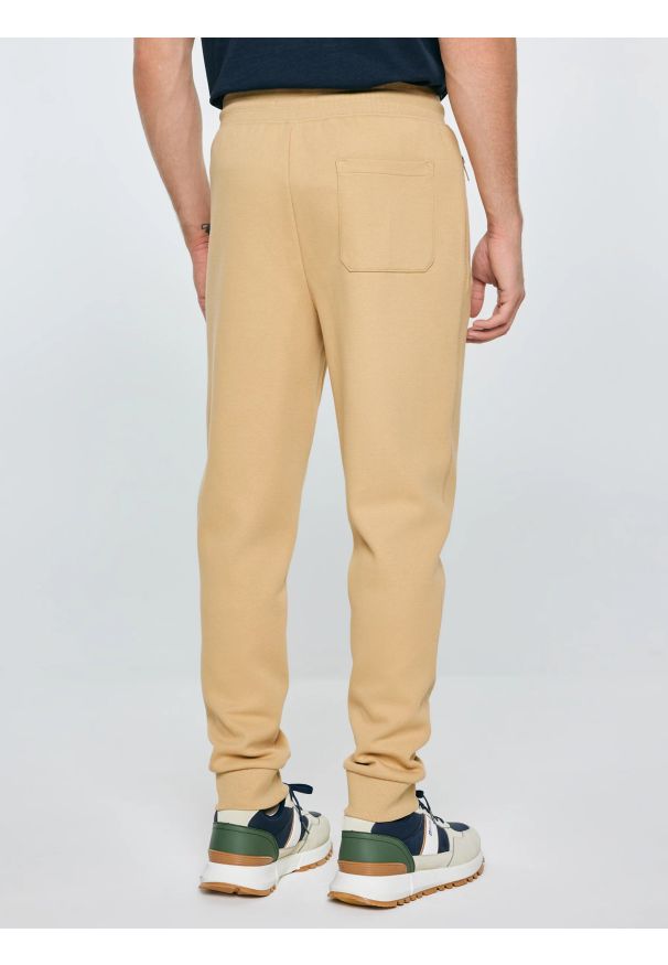 Big-Star - Spodnie męskie dresowe beżowe Wladorp 801. Kolor: beżowy. Materiał: dresówka. Wzór: nadruk, ze splotem