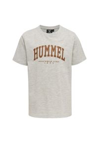 Koszulka dla dzieci Hummel Fast. Kolor: szary. Sport: joga i pilates