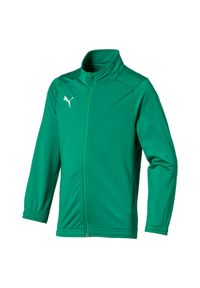 Sportowa kurtka dziecięca Puma Jr Liga Poly Core 152. Kolor: fioletowy, biały, wielokolorowy. Materiał: poliester. Sport: piłka nożna