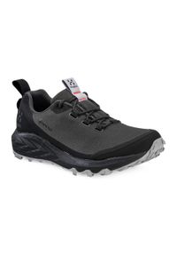 Buty trekkingowe damskie Haglöfs L.I.M FH GTX Low. Kolor: czarny. Styl: sportowy #1