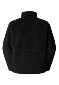 The North Face Polar Extreme Pile NF0A88Y5 Czarny Regular Fit. Kolor: czarny. Materiał: syntetyk #6