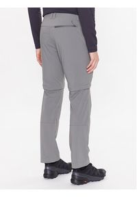 Jack Wolfskin Spodnie outdoor Glastal 1508211 Szary Regular Fit. Kolor: szary. Materiał: syntetyk. Sport: outdoor #4