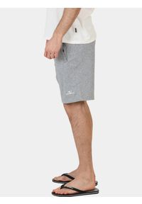 Spodenki jogger męskie O'Neill Small Logo. Kolor: szary