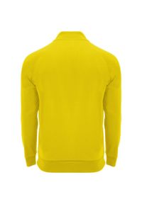 ROLY - Dziecięca/niemowlęca Bluza Z Długim Rękawem Epiro Quarter Zip. Kolor: żółty. Długość rękawa: długi rękaw. Długość: długie