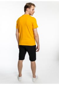 Koszulka Champion Premium Small C Logo T-Shirt (214674-OS030). Kolor: żółty. Materiał: materiał #3