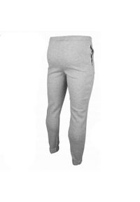 Nike - Męskie Spodnie Do Biegania Park 20 Fleece. Kolor: szary. Materiał: dresówka