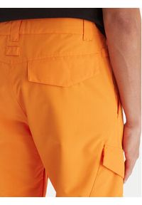 DC Shoes Spodnie narciarskie ADYTP03042 Pomarańczowy Regular Fit. Kolor: pomarańczowy. Materiał: syntetyk. Sport: narciarstwo #7