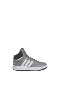 Adidas - Hoops Mid Shoes. Kolor: szary, biały, wielokolorowy. Sport: tenis