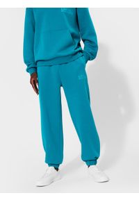 4f - Spodnie dresowe joggery męskie 4F x Local Heroes. Kolor: turkusowy. Materiał: dresówka #2
