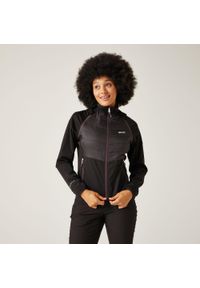 Regatta - Damska kurtka hybrydowa Steren II. Kolor: czarny. Materiał: softshell. Sport: turystyka piesza #1