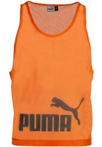 Puma XL Męska Bluza z Kapturem z Bawełny Organicznej. Typ kołnierza: kaptur. Kolor: wielokolorowy. Materiał: poliester. Sport: piłka nożna