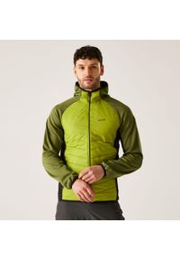 Regatta - Męska kurtka Andreson VIII Hybrid wodoodporna z przegrodami. Kolor: zielony. Materiał: puch. Sport: turystyka piesza #1