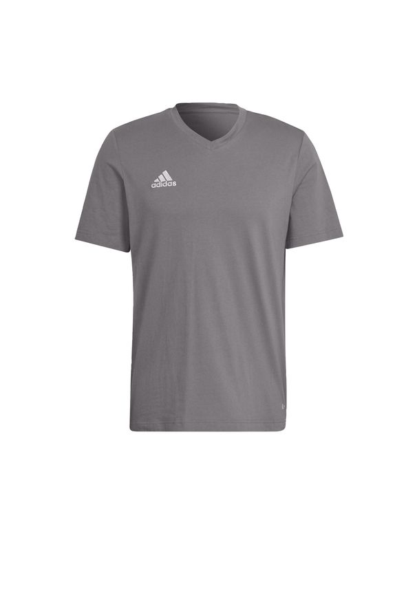 Adidas - Entrada 22 Tee. Kolor: szary. Sport: piłka nożna