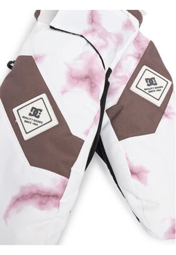 DC Shoes Rękawice narciarskie Franchise ADJHN03014 Biały. Kolor: biały. Materiał: poliester. Sport: narciarstwo
